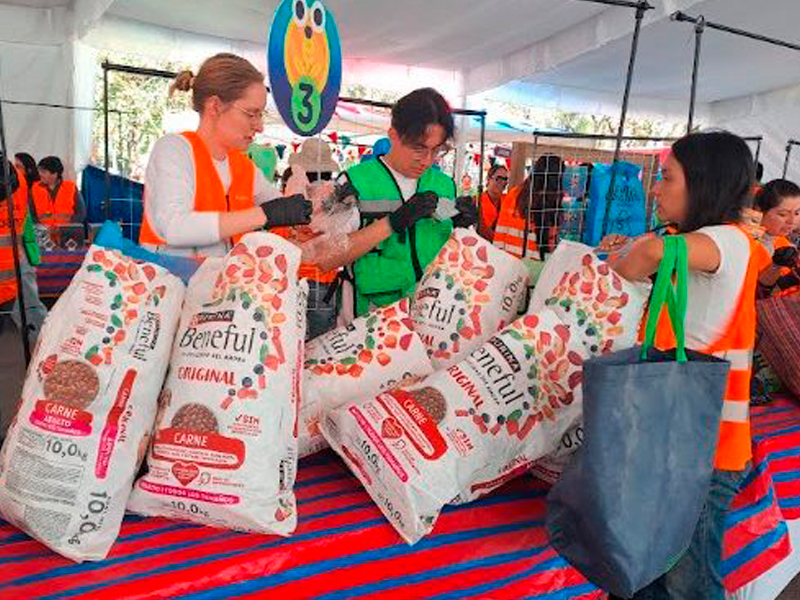 Flextival llega por primera vez a Puebla