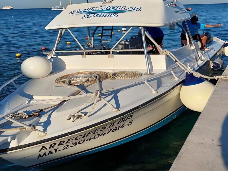 Entre sueños y riesgos la Marina Mercante pierde las pólizas