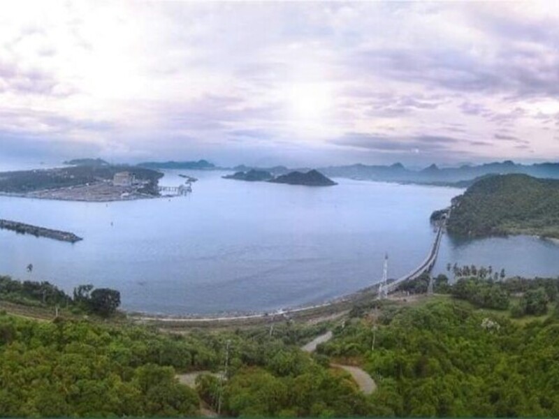 Manglares ponen a prueba la expansión del Puerto de Manzanillo